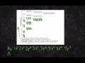 Noble Gas Electron Configurations