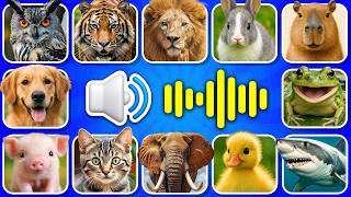 Guess The Animal Sound? 🔊❤️ | Animals Names And Sounds