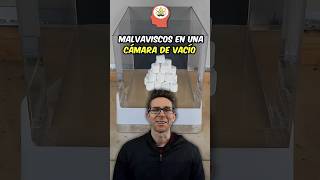 Malvaviscos vs la cámara de vacío ¿EXPLOTAN?