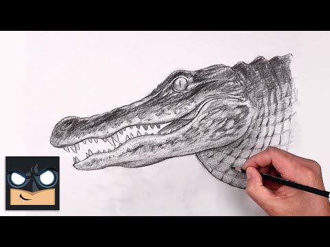 How To Draw an Alligator - Sketch Art Lesson (Step by Step)