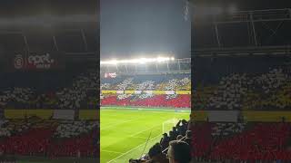 Sparta vs Liverpool