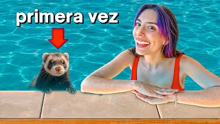 MIS HURONAS SE METEN A LA PISCINA POR PRIMERA VEZ !!
