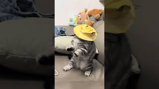 MJ咪咪  #家庭喜剧 #笑口常开 #日常生活