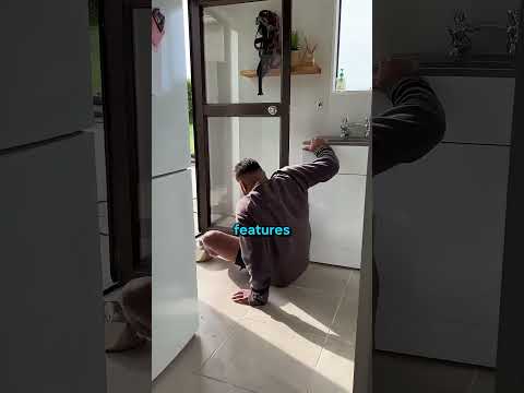 The Must Have Hack for Messy Dogs 🐕 #interestingfacts #facts #animals