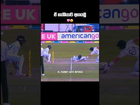 කවුද ඒ වැඩ්ඩා #shorts#cricket#cricketshorts