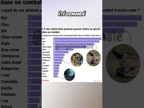 Quel Animal Prenez-vous En 1 contre 1 ? #animaux #omg #animal #nature