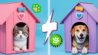 Dog DIY Hacks 🐶 or Cat Crafts 🐱 – Which One Wins? 💡🔥
