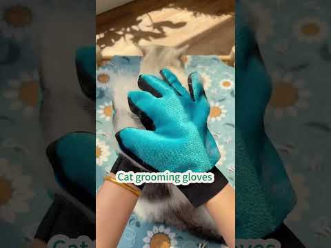 Cat grooming gloves #cat #bestpetsupplies #catlover
