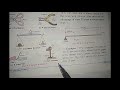 Understanding Simple Machines and Efficiency