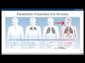 Air Quality and Pollution Concepts