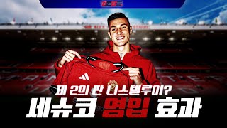 왜 맨유는 호일룬 대신 세슈코일까