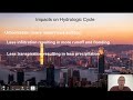 Human Impact on Biogeochemical Cycles