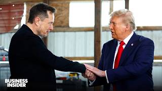 The Evolution Of Musk And Trump's 'Bromance' | Business Insider