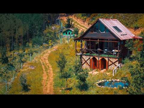 Forest Cabin Life Ep. 18 | Water Supply & Bird Pond Setup