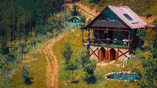 Forest Cabin Life Ep. 18 | Water Supply & Bird Pond Setup