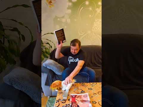 One look is all it takes: The amazing connection between me and smart cat!