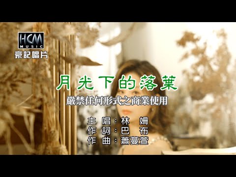 林姍 – 月光下的落葉【KTV導唱字幕】1080p HD