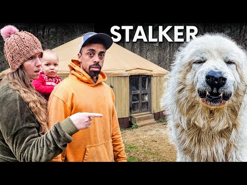 WORRIED! Being STALKED Here by a HUGE Mysterious Dog!? | Vlog