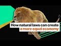 Understanding Regenerative Economics