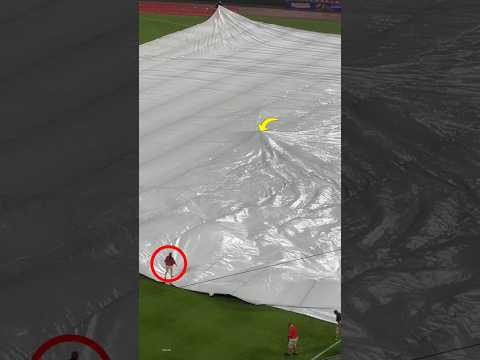 Ground Crew's Nightmare Goes Viral #viralvideo #facts