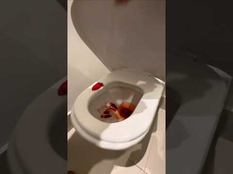 VASO SANITรRIO I TOILET