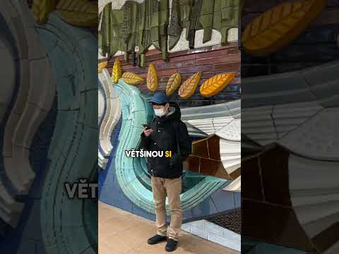 Tohle je práce snů #shorts #viralvideo #facts