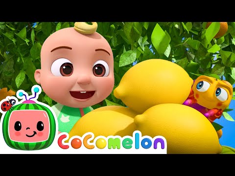 Sing Along: Grow Fruit & Itsy Bitsy Spider! 🎶| CoComelon Animal Time | Animals for Kids
