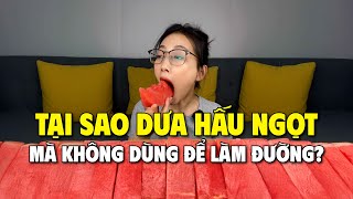 Tại sao dưa hấu ngọt như vậy, mà không ai dùng làm đường? | THKT 40