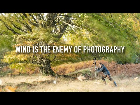 Is Wind The Enemy of Landscape Photography?