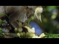Rainforest Ecosystem Knowledge Assessment