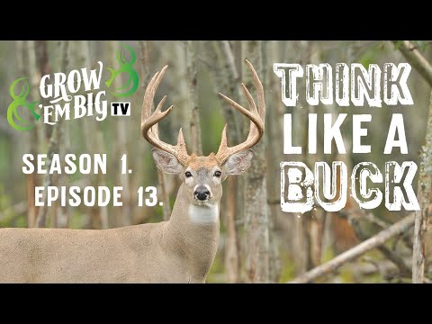 Think Like a Buck | Grow ’em Big TV