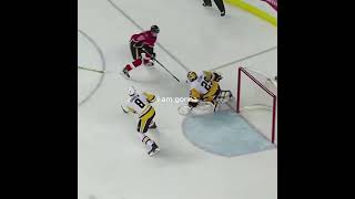 Fatal hockey deaths