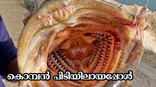 കൊമ്പന്മാരെയും തേടി । Catching Monsterfish