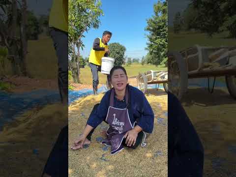 สามีที่ดี #เรไรสายฮาchannel #funny #ตลก #comedy