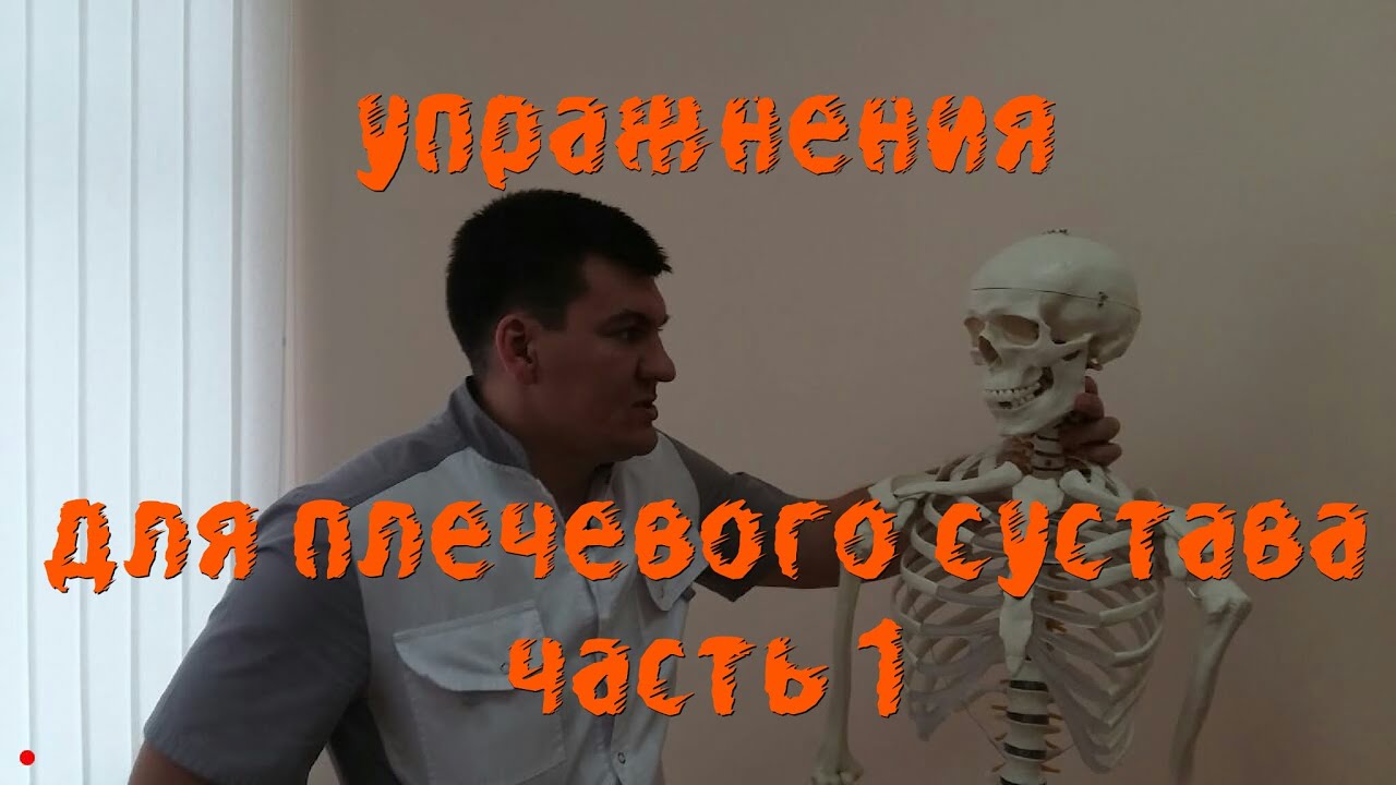 Упражнения при плечелопаточном перериартрозе Подключичная, зубчатая