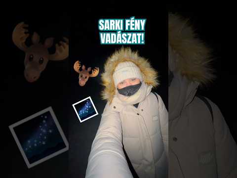 SARKI FÉNY VADÁSZAT -35 FOKBAN! 😳🥶 #aurorahunting #finland #lapland #northernlights #shorts