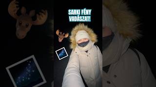 SARKI FÉNY VADÁSZAT -35 FOKBAN! 😳🥶 #aurorahunting #finland #lapland #northernlights #shorts