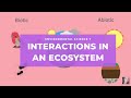 Ecosystem Interactions and Components