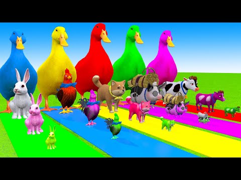 5 Giant Duck Cartoon,Cow,Elephant,Tiger,Lion,Dinosaur,Paint Wild Animals Crossing Fountain Animation