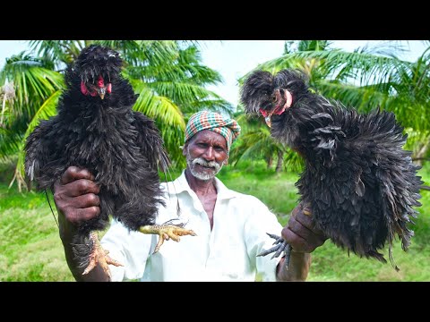 BLACK GHOST CHICKEN RECIPE | பேய் கருங்கோழி மருத்துவ குணமுல்ல | VILLAGE MEDICINE | DELICIOUS FOOD