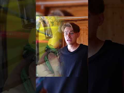 КТО БОИТСЯ КЛЕЩЕЙ #shorts #acting #foryou #funny #fypシ #comedy #pov