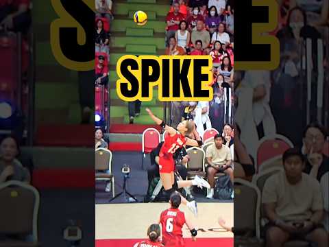 Volleyball Women Japan Wada Ishikawa World Insane Rally Spike Netherlands Block Champion Slow Motion