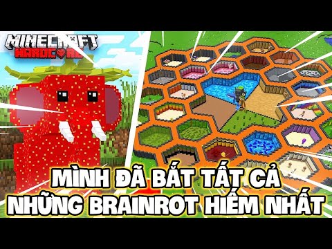 Mình Đã Bắt TẤT CẢ Những Brainrot HIẾM NHẤT Trong Minecraft !