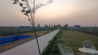 عسل نحل المزرعة الطبيعي 