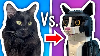 CATS  Vs. LEGO Challenge!