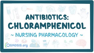Antibiotics - Chloramphenicol: Nursing Pharmacology
