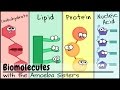 Biomolecules and Their Functions