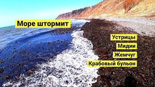 видео