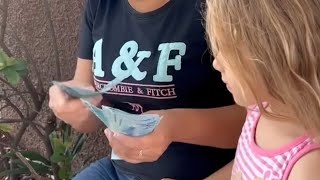 Avó exige dinheiro para cuidar da neta R0UB@ND0 a sua própria filha
