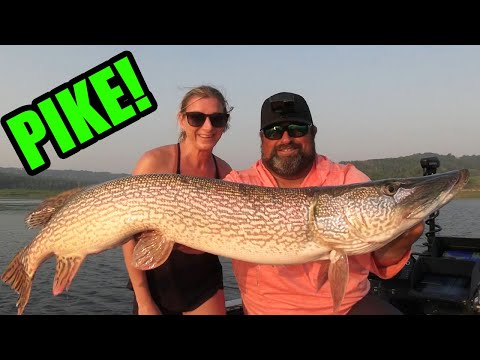Fishing Showdown Who Wins the Top 5 Pike Battle!